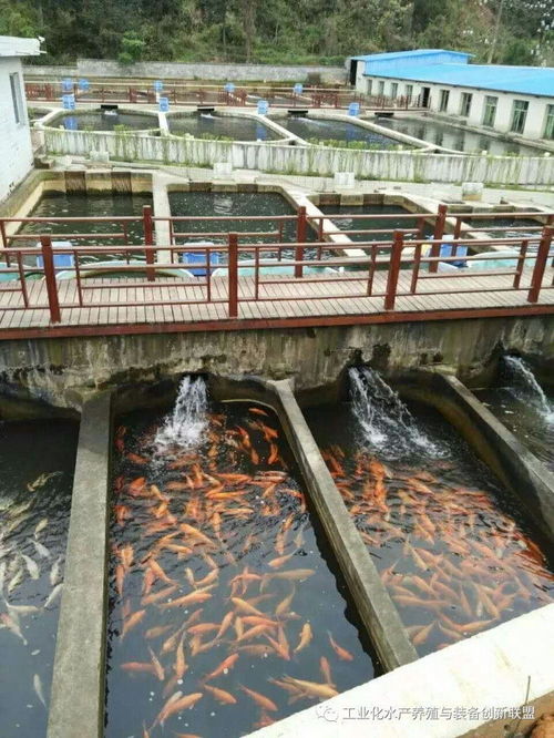 我們要養魚,我們也要環保,工廠化水產養殖系統備受關注