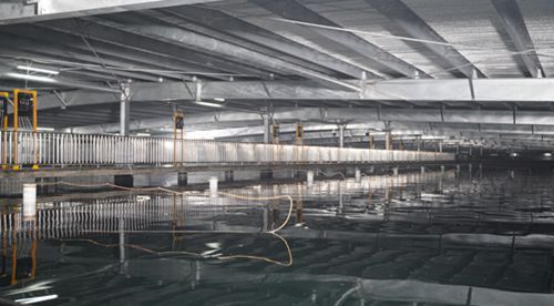 水產養殖用投入品專項整治啟動,海璟水產為消費者開啟 安全模式