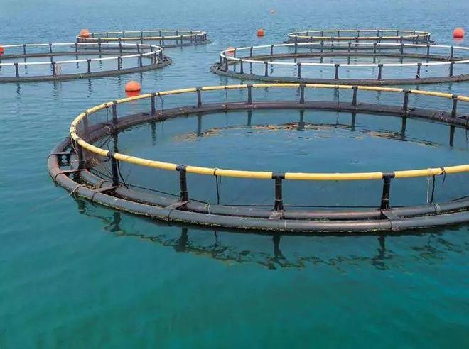 高考放榜!大廠大裁員,水產(chǎn)企業(yè)瘋狂搶人!年薪百萬不是夢(mèng)!填志愿別錯(cuò)過了水產(chǎn)專業(yè)