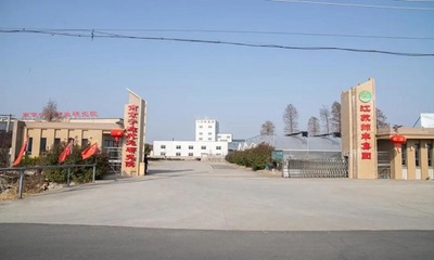 突出示范帶動,高質量引領農業農村重大項目加速推進