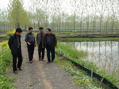 專家來武漢蝦龍水產(chǎn)養(yǎng)殖開發(fā)開展龍蝦養(yǎng)殖技術研發(fā)工作