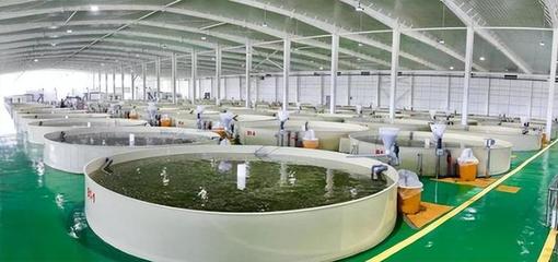 預(yù)測(cè):我國特醫(yī)食品市場(chǎng)需求巨大;安井食品:發(fā)力團(tuán)餐供應(yīng)鏈