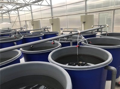 工廠化養(yǎng)魚槽-工廠化養(yǎng)魚-武漢智慧農(nóng)研(查看)