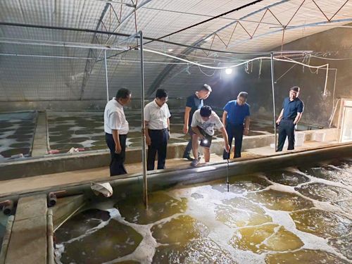 東營市人民政府 部門動態 市海洋發展和漁業局局長荊向輝帶隊開展 進漁村 入漁港 上漁船 訪漁民 活動