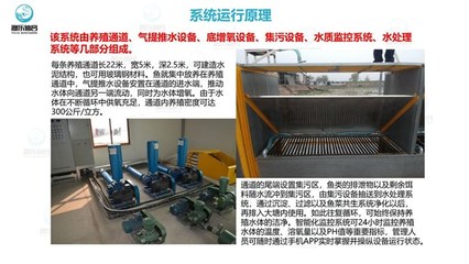 &ldquo;零排放&rdquo;圈養(yǎng)系統(tǒng)-智慧農(nóng)研(在線咨詢)