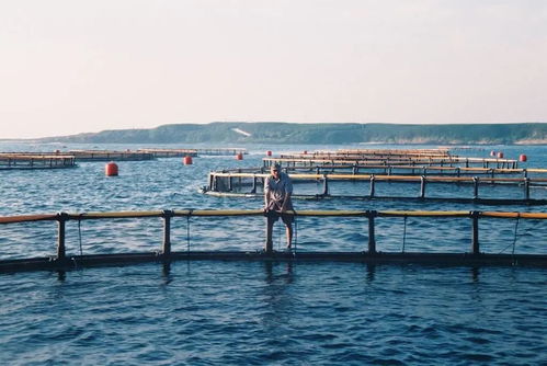 一周海洋大事件