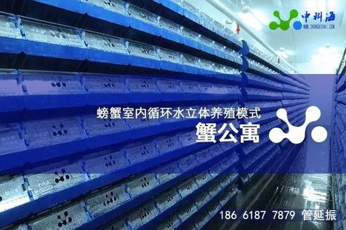 4月 金磚 水產(chǎn)盛會邀請函 這些先進(jìn)的養(yǎng)殖設(shè)備和技術(shù)將集體亮相廈門