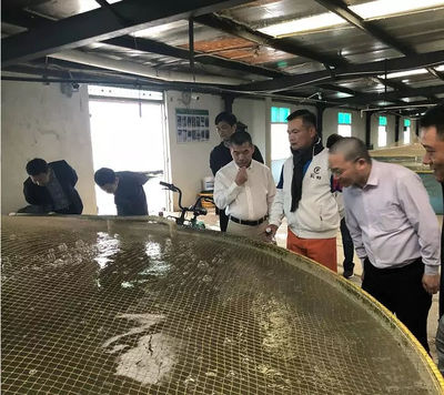 學(xué)習(xí)借鑒 | 72街餐飲集團(tuán)組織團(tuán)隊(duì)蒞臨仙泉湖養(yǎng)殖基地參觀指導(dǎo)!