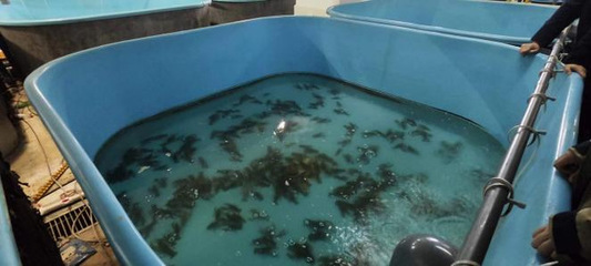 【中國(guó)日?qǐng)?bào)網(wǎng)】新征程再奮斗,新疆吉木乃調(diào)研學(xué)習(xí)拓視野