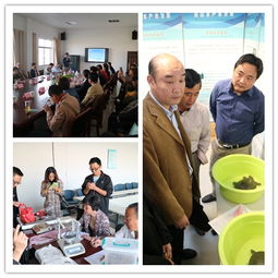 展漁民養殖成果,推綠色水產養殖 上海市金山區舉辦首屆水產養殖豐收節