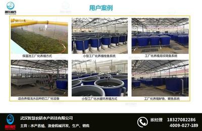 工廠化養魚技術 工廠化養魚 智慧農研(推薦商家)