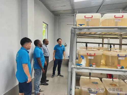 水產養殖界又出新利器 原來從椰子提取的這東西,作用原來這么大