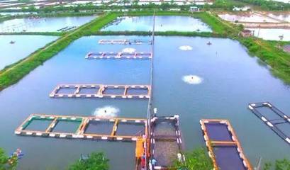 喜訊！斗門(mén)8家企業(yè)榮登省級(jí)水產(chǎn)養(yǎng)殖榜單，實(shí)力彰顯產(chǎn)業(yè)新高度